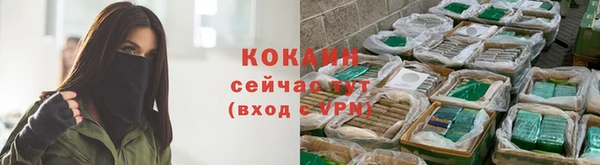 дживик Валдай