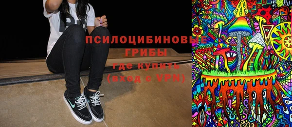 прущие грибы Новокубанск