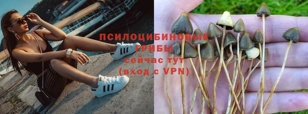 марихуана Новодвинск