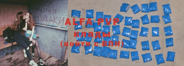 прущие грибы Новокубанск
