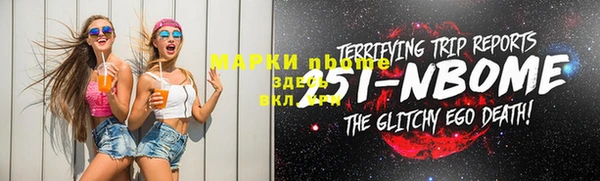 прущие грибы Новокубанск