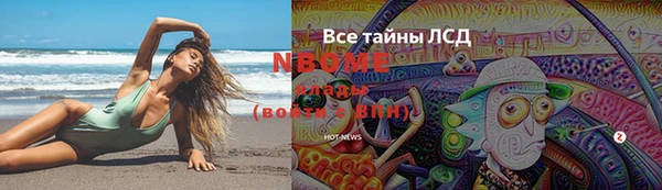 прущие грибы Новокубанск