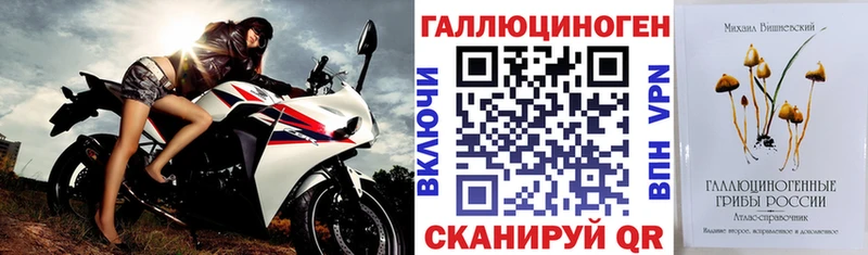 Галлюциногенные грибы Psilocybe  даркнет сайт  Ипатово 