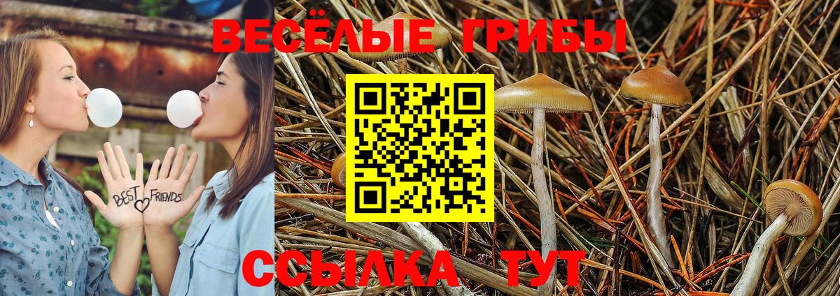 купить наркотики цена  Ипатово  Галлюциногенные грибы MAGIC MUSHROOMS  Галлюциногенные грибы мицелий 