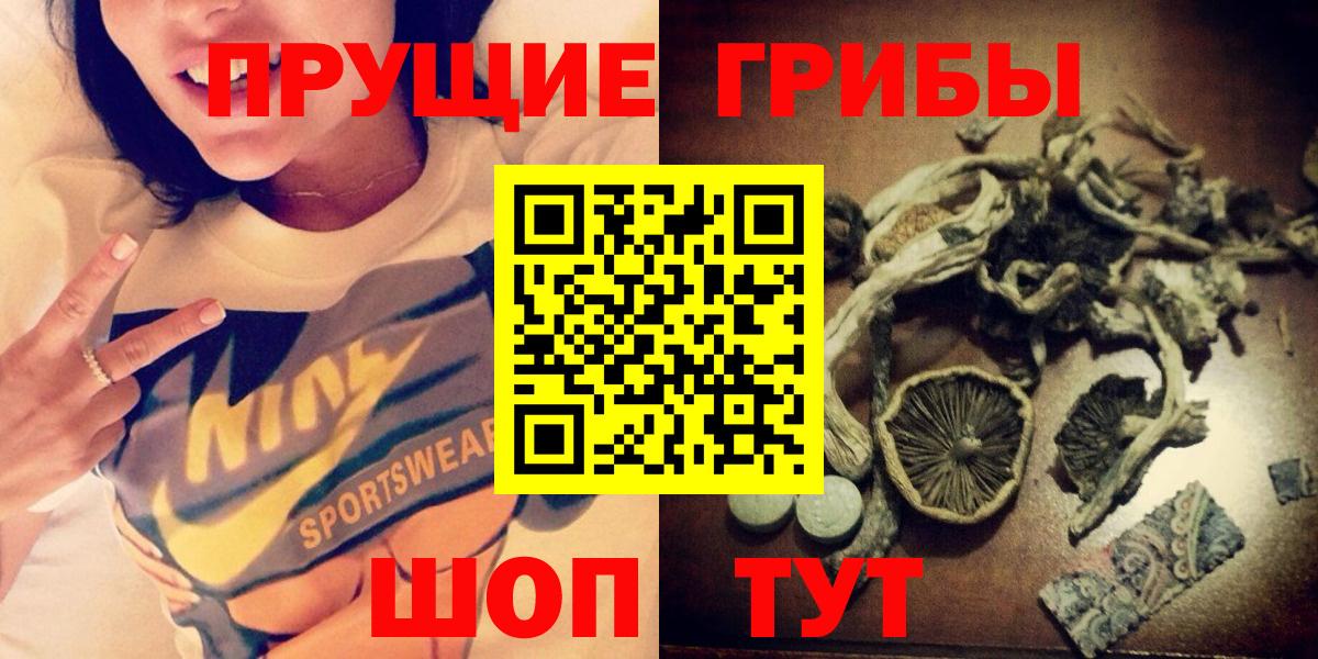 Ипатово  Галлюциногенные грибы Cubensis  Вход с VPN 