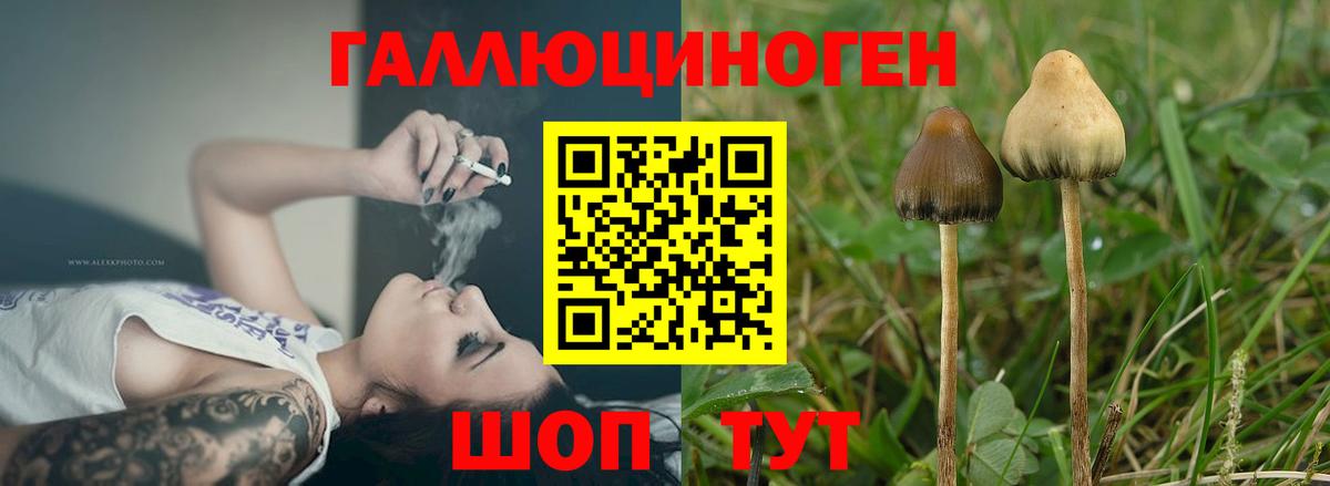 Галлюциногенные грибы Magic Shrooms Ипатово
